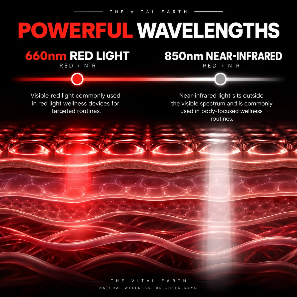 40_LED_Red_Light_Therapy_Panel